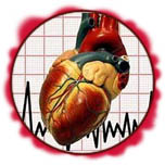 Аритмия, брадикардия, тахикардия это типичные проявления нарушения сердечного ритма