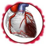Ишемическая болезнь сердца, инфаркт миокарда - следствие перекрытого кровотока к определённым мышцам сердца.